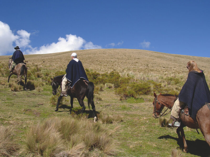 Horseback riding Cotopaxi National Park